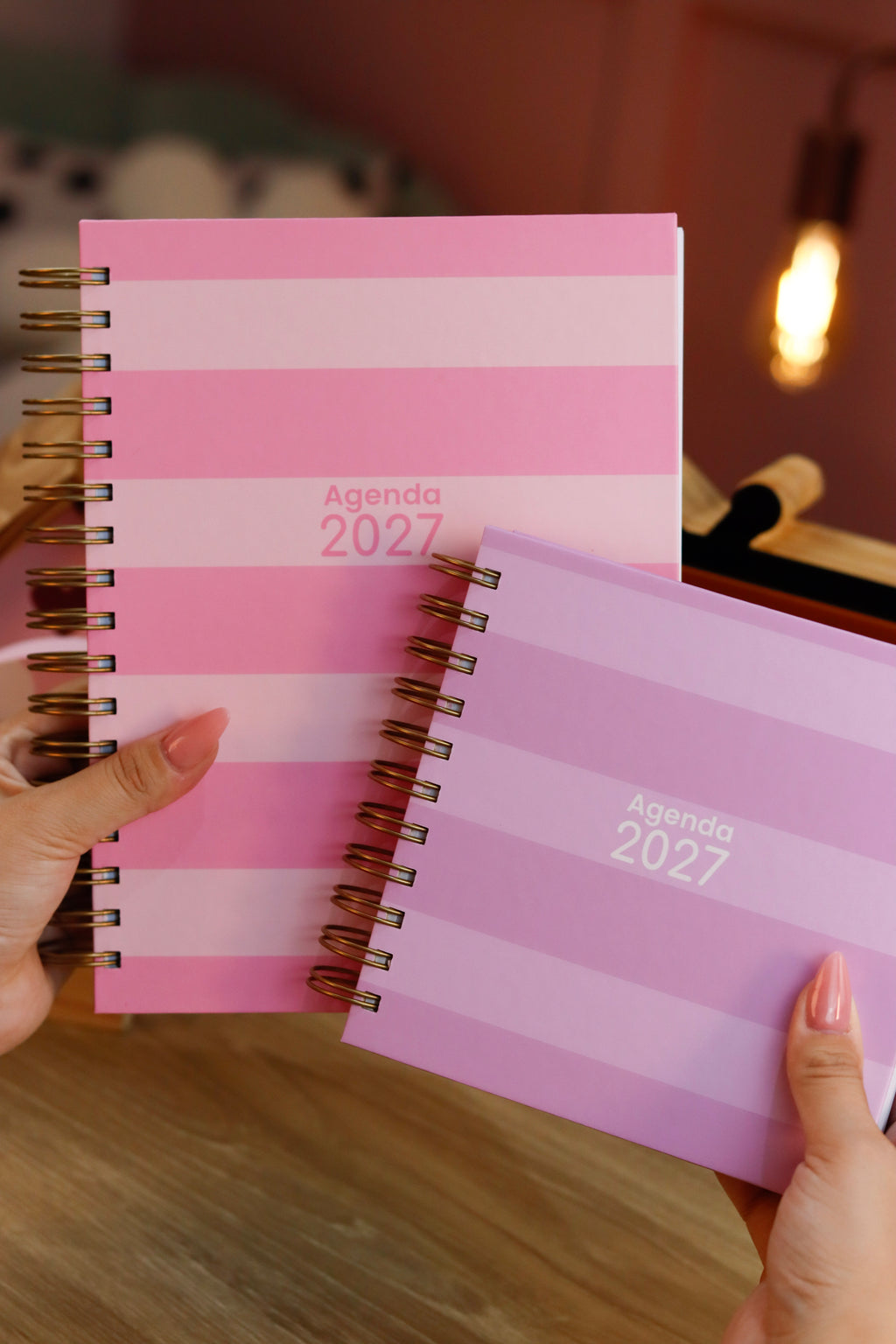 Agendas Fofas 2027